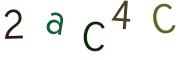圖片的 CAPTCHA