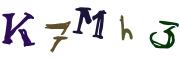 圖片的 CAPTCHA