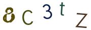 圖片的 CAPTCHA