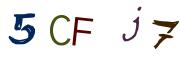 圖片的 CAPTCHA