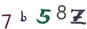 圖片的 CAPTCHA
