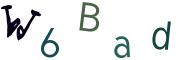 圖片的 CAPTCHA