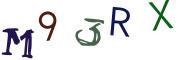 圖片的 CAPTCHA