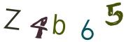 圖片的 CAPTCHA