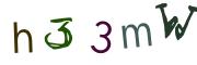 圖片的 CAPTCHA