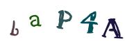 圖片的 CAPTCHA