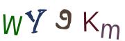 圖片的 CAPTCHA