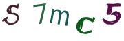 圖片的 CAPTCHA