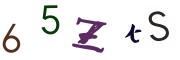 圖片的 CAPTCHA