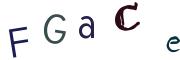 圖片的 CAPTCHA