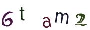 圖片的 CAPTCHA