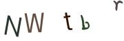 圖片的 CAPTCHA