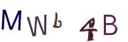 圖片的 CAPTCHA
