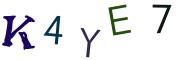圖片的 CAPTCHA