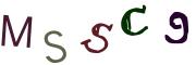 圖片的 CAPTCHA