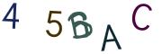圖片的 CAPTCHA