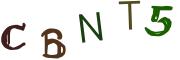 圖片的 CAPTCHA