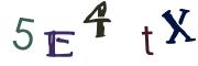 圖片的 CAPTCHA