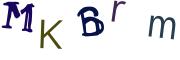 圖片的 CAPTCHA