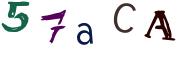 圖片的 CAPTCHA
