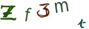 圖片的 CAPTCHA