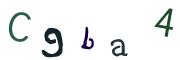 圖片的 CAPTCHA