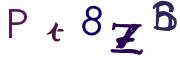 圖片的 CAPTCHA