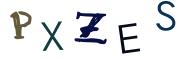 圖片的 CAPTCHA