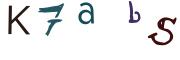 圖片的 CAPTCHA