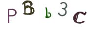 圖片的 CAPTCHA