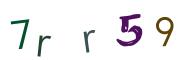 圖片的 CAPTCHA