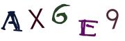 圖片的 CAPTCHA