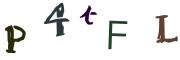 圖片的 CAPTCHA