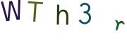 圖片的 CAPTCHA