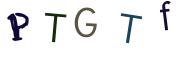 圖片的 CAPTCHA