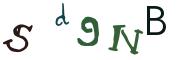 圖片的 CAPTCHA