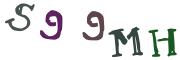 圖片的 CAPTCHA