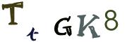 圖片的 CAPTCHA