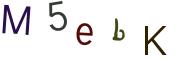 圖片的 CAPTCHA