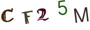 圖片的 CAPTCHA