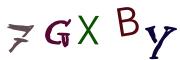 圖片的 CAPTCHA