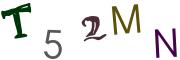 圖片的 CAPTCHA