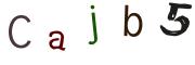 圖片的 CAPTCHA