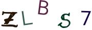 圖片的 CAPTCHA