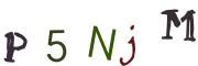 圖片的 CAPTCHA