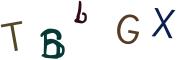 圖片的 CAPTCHA