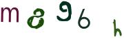 圖片的 CAPTCHA