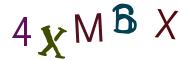 圖片的 CAPTCHA
