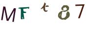 圖片的 CAPTCHA