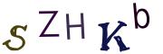 圖片的 CAPTCHA
